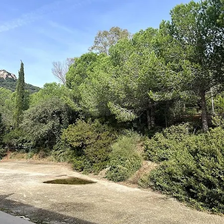 Le Citron, Bel En Pleine Nature A 2 Minutes Du Centre *